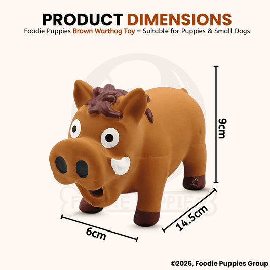3M™ Schweißschutz, Visierscheibe, 9100, Anti-Fog-Beschichtung, 523001
